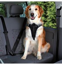 Bezpečnostní postroj do auta L 65-80 cm/23 mm Bezpečnostní postroj do auta L 65-80 cm/23 mm