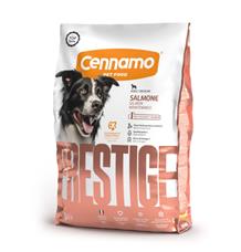 Prestige Dog Adult Medium Salmon 2kg