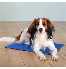 Chladící podložka pro zvířata 65 x 50 cm MODRÁ 110x70cm Chladící podložka pro zvířata 65 x 50 cm MODRÁ 110x70cm