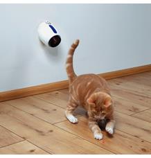 Laserová hračka pro kočky 11 cm, bílo/modrá (RP 0,90 Kč) Laserová hračka pro kočky 11 cm, bílo/modrá (RP 0,90 Kč)