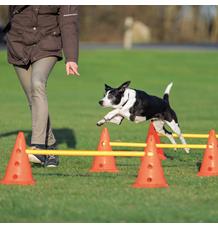 Dog Activity překážky (3 ks) 23 x 30 cm/78 cm oranž/žlutá 1 set/3ks překážek