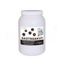 Dromy GastroAkut