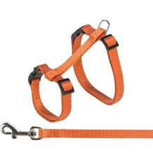 Postroj pro kočky s vodítkem, 27-45 cm/ 10 mm, 1,2 m, různé barvy