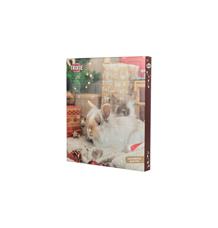 Adventní kalendář pro hlodavce, 30 x 42 x 2 cm TRIXIE 1 ks Adventní kalendář pro hlodavce, 30 x 42 x 2 cm TRIXIE 1 ks