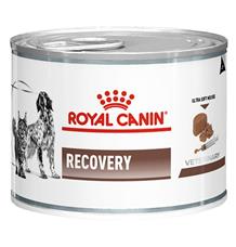 Royal Canin VD Cat/Dog konz. Recovery
