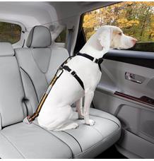 Kurgo Bezpečnostní pás pro psa do auta Direct to Seatbelt Tether oranžový