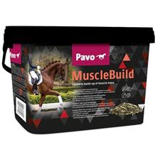 Pavo Muscle Build 