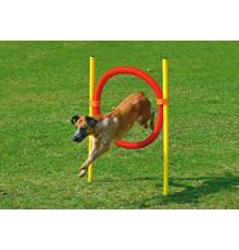 Karlie Agility překážka - kruh, žlutá/červená