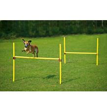 Karlie Agility překážka, žlutá