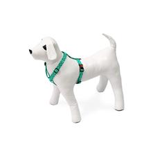 Karlie Postroj ASP Mix&Match zelený motiv Žralok velikost 25-40cm 10mm Karlie Postroj ASP Mix&Match zelený motiv Žralok velikost 25-40cm 10mm