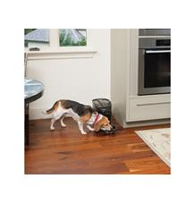 PetSafe Healthy Pet Simply Feed™ Digitální krmítko PetSafe Healthy Pet Simply Feed™ Digitální krmítko