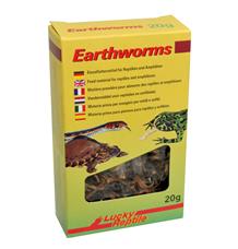 Lucky Reptile Earthworms 10g - exp. 11/24 - 1ks skladem