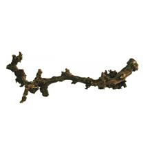 Lucky Reptile Grapevine - tmavý L 50-70 cm