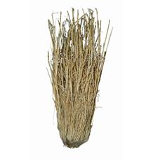 Lucky Reptile Grass Bushes 25-40 cm