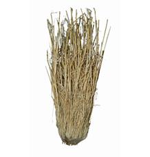 Lucky Reptile Grass Bushes 25-40 cm Lucky Reptile Grass Bushes 25-40 cm