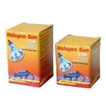 Lucky Reptile Halogen Sun 75W