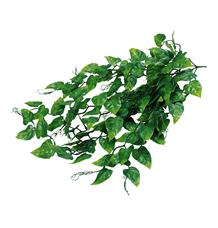 Lucky Reptile Jungle Plants Ivy Bush cca 50 cm