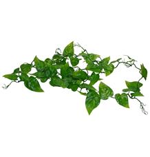 Lucky Reptile Jungle Vine Gape Leaf Vine cca 200 cm