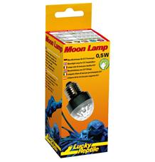 Lucky Reptile Moon Lamp Lucky Reptile Moon Lamp