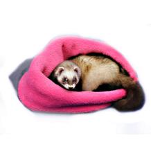 Marysa pelíšek 3v1 pro fretky, šedý/tmavě růžový Marysa pelíšek 3v1 pro fretky, šedý/tmavě růžový