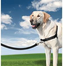 PetSafe postroj, EasyWalk, černý, velikost L PetSafe postroj, EasyWalk, černý, velikost L