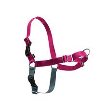 Postroj EasyWalk , malinový M Postroj EasyWalk , malinový M