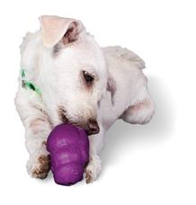 Squirrel Dude™ S Squirrel Dude™ S