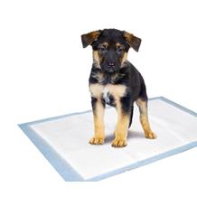 Karlie Tréninková podložka pro štěňata S 35x45cm (10ks) Karlie Tréninková podložka pro štěňata S 35x45cm (10ks)
