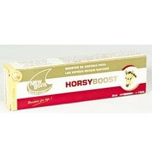 Horsyboost pst 