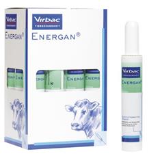 Energan Ketose pst  12x300g