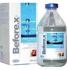 Before X sol 2x100ml Before X sol 2x100ml