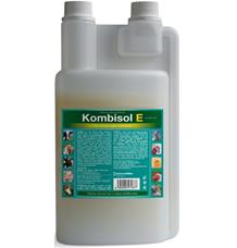 Kombisol E a.u.v. sol 