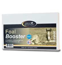 Horse Master Foal Booster 60ml/4x15ml
