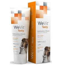 WeVit Tasty 100g WeVit Tasty 100g