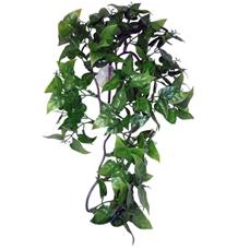 Dekorace umělá rostlina - popínavá Philodendron Komodo 30cm