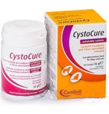 Cystocure forte 30 tbl Cystocure forte 30 tbl