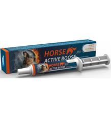 Horse Active Boost perorální pasta  1x20g