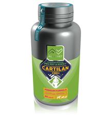 Cartilan CBD+ Altervet 40tbl Cartilan CBD+ Altervet 40tbl