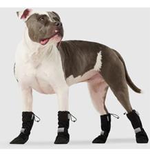 Botičky sada Canada Pooch 4 černé