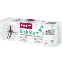 Pavo KickStart 