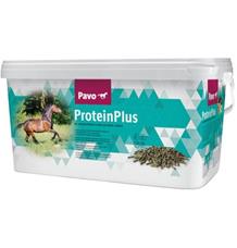 Pavo ProteinPlus NOVÝ