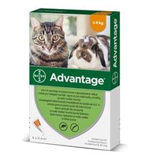 Advantage 40 10% 4x0,4ml pro malé kočky a králíky Advantage 40 10% 4x0,4ml pro malé kočky a králíky