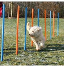 AGILITY Slalom, tyče 12ks