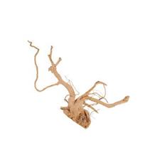 Akvarijní dekorace pavoučí kořen 50-60cm Zolux 50-60cm/1ks Akvarijní dekorace pavoučí kořen 50-60cm Zolux 50-60cm/1ks