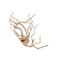 Akvarijní dekorace pavoučí kořen +60cm Zolux +60cm/1ks Akvarijní dekorace pavoučí kořen +60cm Zolux +60cm/1ks