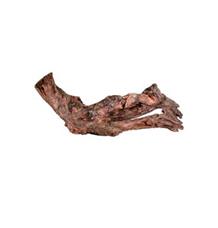 Akvarijní/terarijní kořen Mangrove Zolux S 15/25cm Akvarijní/terarijní kořen Mangrove Zolux S 15/25cm