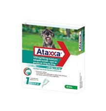 Ataxxa Spot-on Dog L 