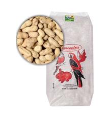 Avicentra buráky ve skořápce 10kg Avicentra buráky ve skořápce 10kg