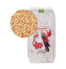 Avicentra oves nahý 1 kg Avicentra oves nahý 1 kg