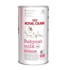 ROYAL CANIN Babycat Milk 300 g ROYAL CANIN Babycat Milk 300 g